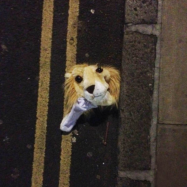 Abandoned, Unwanted, Unloved, cuddly toy - The head of a cuddly lion, lying on double yellow lines at the curbside