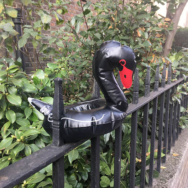 Abandoned, unwanted, unloved, cuddly toy - Blow up black swan swimming ring, sat on a railing