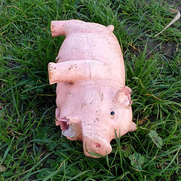Cuddly toy pig lying in the grass