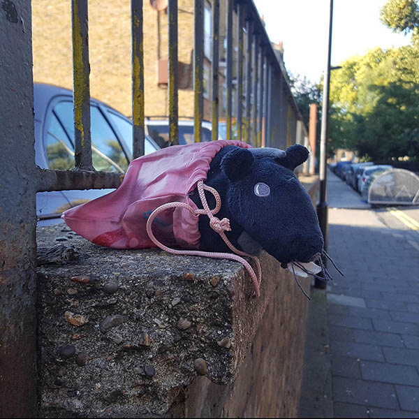 Abandoned, unwanted, unloved, cuddly toy - Cuddly rat, peeking out of a drawstring bag, on a wall