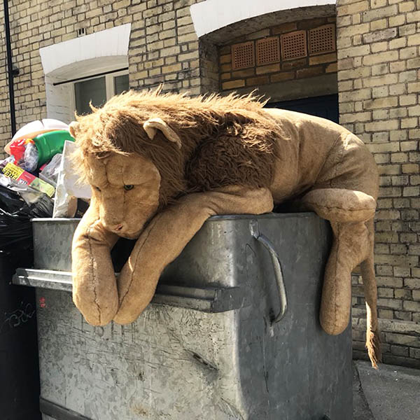 Sad looking cuddly toy lion slumped on a bin