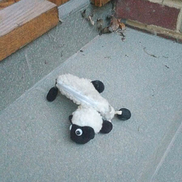 Abandoned, unwanted, unloved, cuddly toy - Cuddly Shawn the Sheep toy lying in a doorway