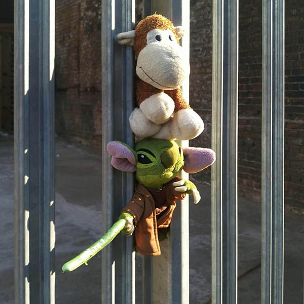 Monkey and Yoda cuddly toys squashed into metal railings