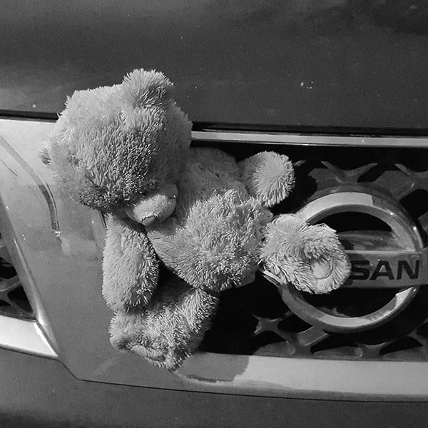 Abandoned, unwanted, unloved, cuddly toy - Teddybear tied to the front grill of a nissan car
