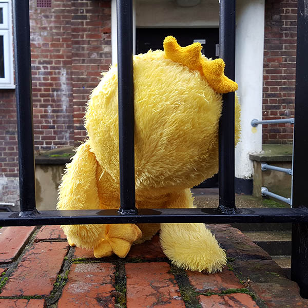 Cuddly chicken toy sitting upside down on a wall by a railing 