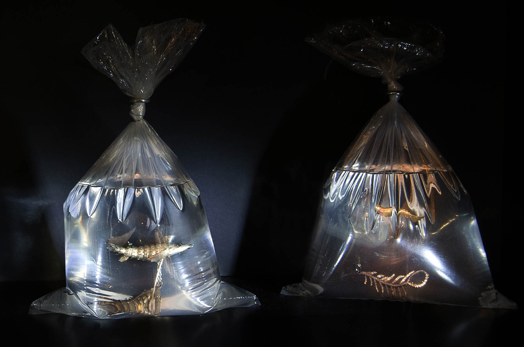 Annoushka Milestones Exhibition display cabinet - Annoushka Jewellery and silver articulated fish displayed in water in fairground goldfish bags