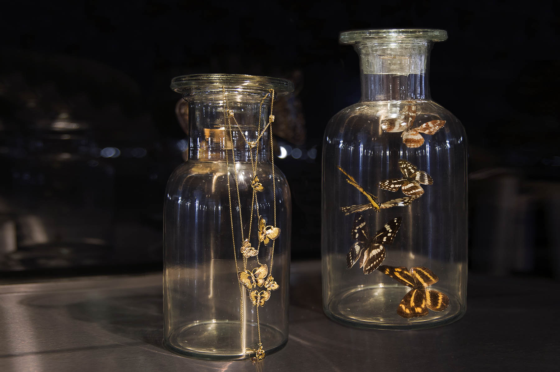 Annoushka Milestones Exhibition display cabinet - Taxidermy butterflies in glass jar and Annoushka butterfly pendant hanging on glass jar