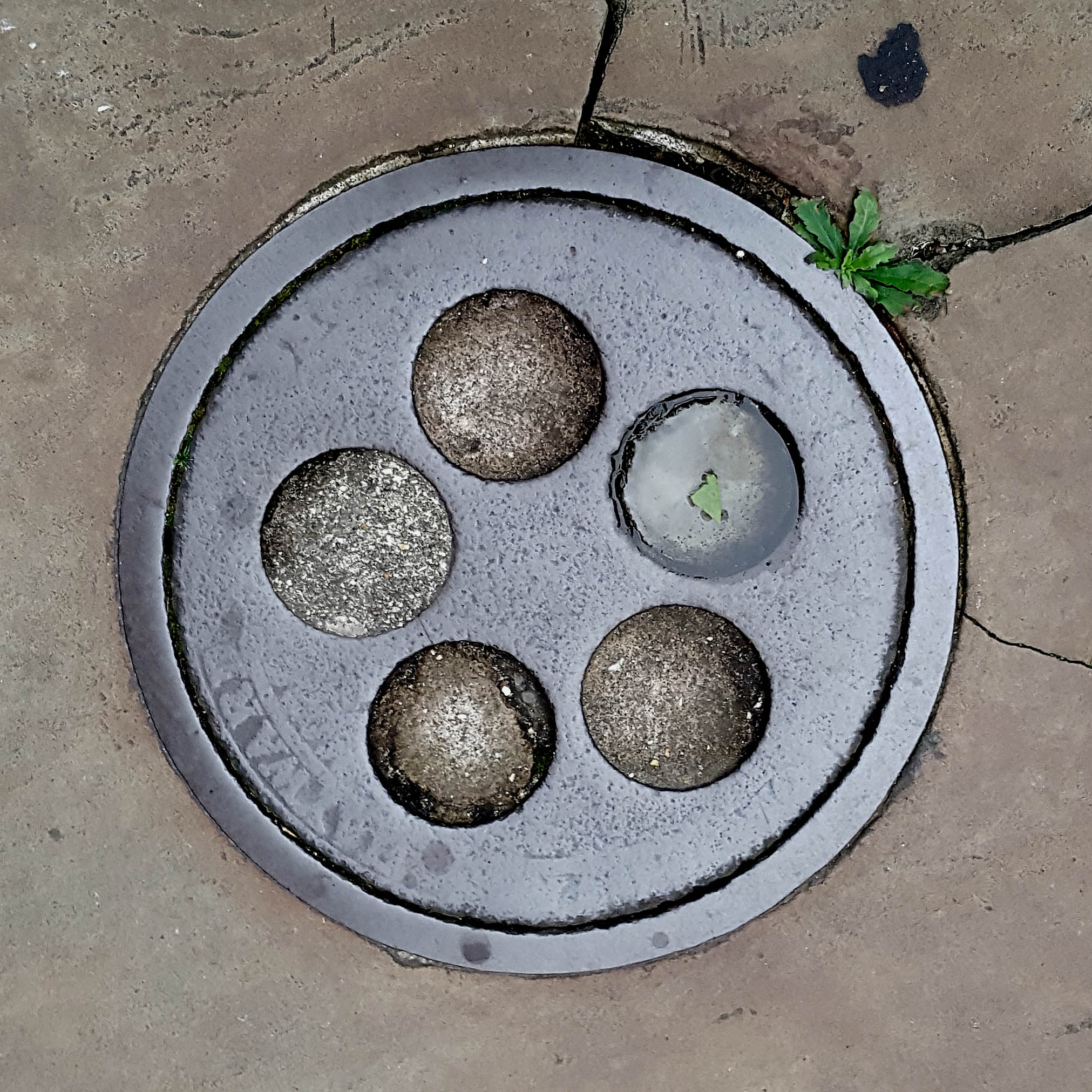 Manhole Cover, London - Cast iron with five circles of concrete and glass