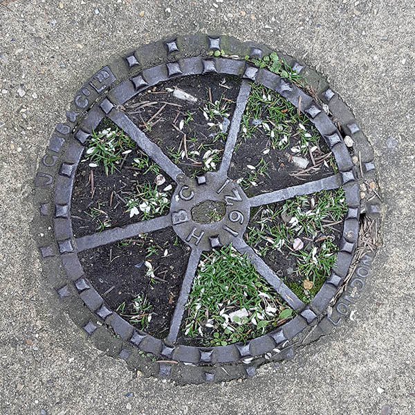 Manhole Cover, London - Cast iron surround with six segments of soil and grass