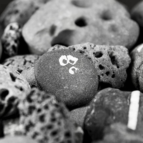 Pebbles close up shot