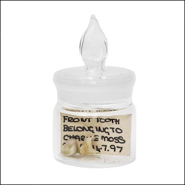 Baby teeth in glass pot - part of tooth collection