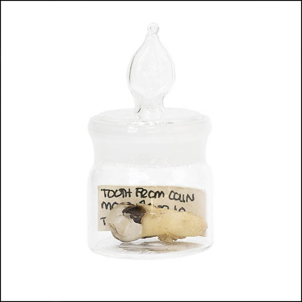 Filled tooth in glass pot - part of tooth collection
