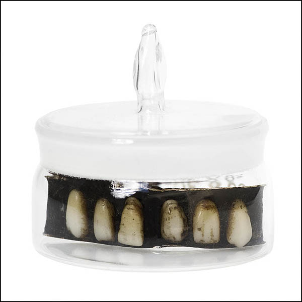False teeth set in pitch in glass pot - part of tooth collection