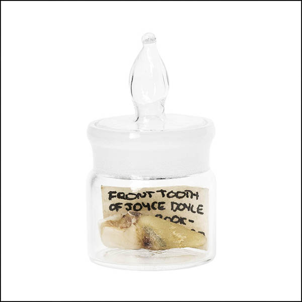 Front tooth in glass pot - part of tooth collection