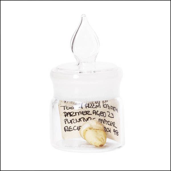 Wisdom tooth in glass pot - part of tooth collection