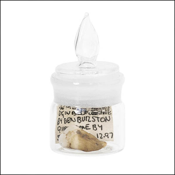 Saxon tooth in glass pot - part of tooth collection